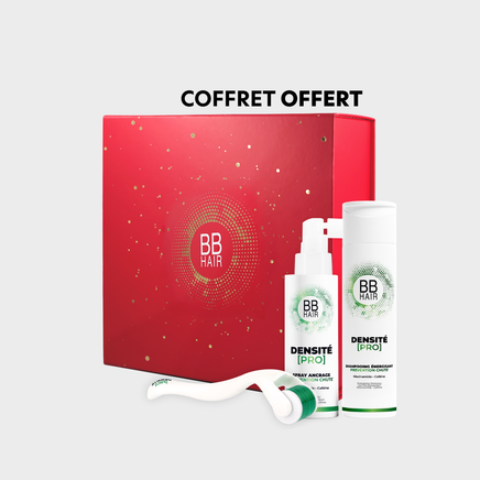 BBHAIR KERSTCADEAUPAKKET - PROFESSIONELE DICHTHEID