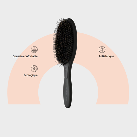 EXPERT CARE OVAL Boar &amp; Nylon Bristals Black Label