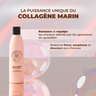Pack format revente Collagen restore