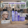 Verkooppakket Shampoos & Conditioners BBHair x3