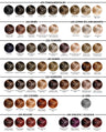 Coloration BBHAIR PLEX Sans Ammoniaque - 100ml