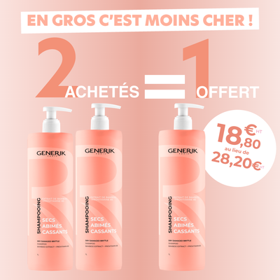2+1 OFFERT Shampooing Secs Abimés Cassant 1L